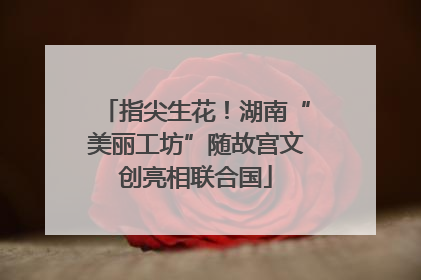 指尖生花！湖南“美丽工坊”随故宫文创亮相联合国